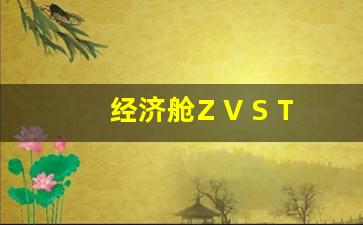 经济舱Z V S T有什么差异